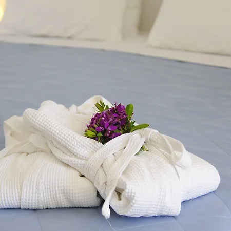 阿尼莫伊度假酒店 4*